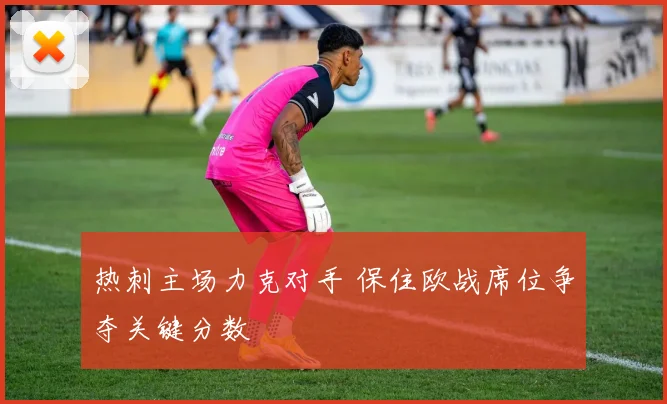 热刺主场力克对手 保住欧战席位争夺关键分数