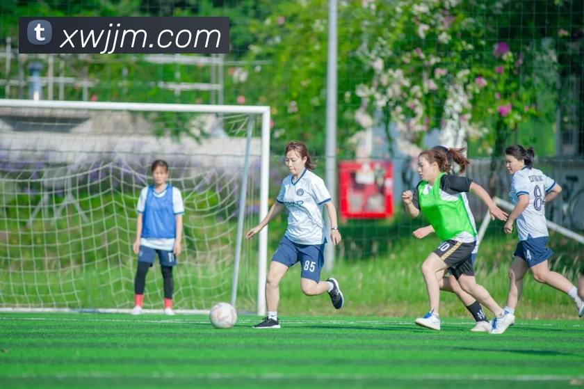 世界杯app官网APP 封面图